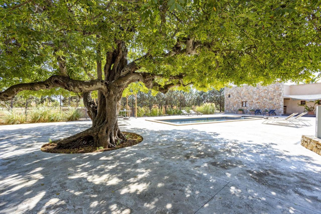 Villa Es Triquet Family Binissalem Εξωτερικό φωτογραφία