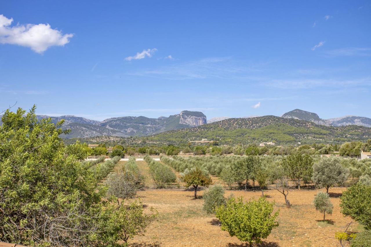 Villa Es Triquet Family Binissalem Εξωτερικό φωτογραφία