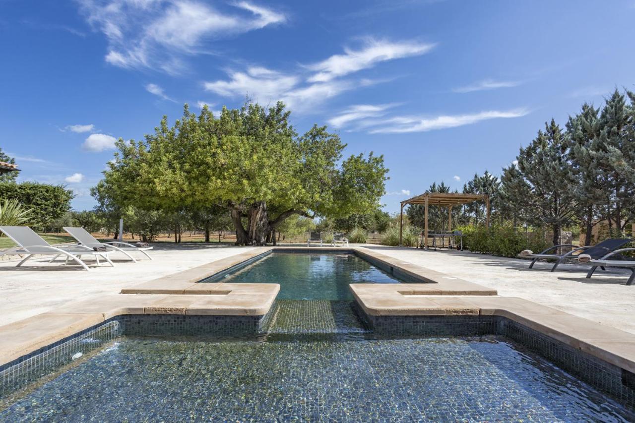 Villa Es Triquet Family Binissalem Εξωτερικό φωτογραφία